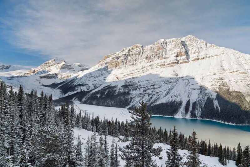 peyto lake.jpg